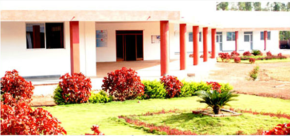 Institute of Management and Global Education in Gujarat