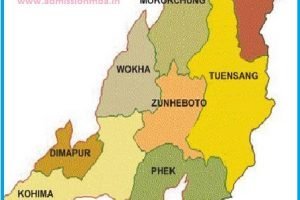 MAT colleges in Nagaland