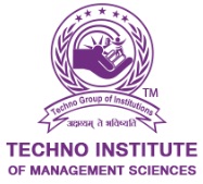 Techno Institute of Management Sciences