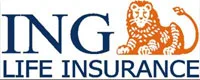 ing