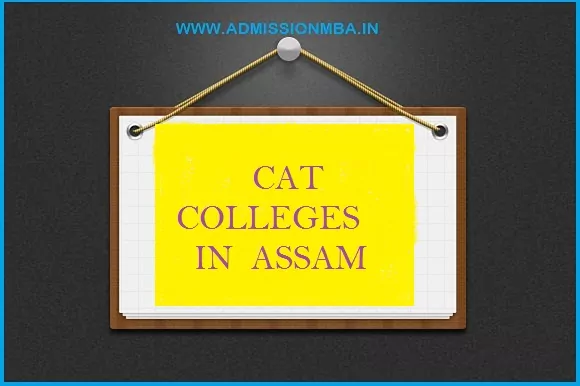 Cat Colleges Assam