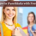MBA Colleges in Panchkula with Fees Structure